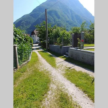 Apartma Saso *